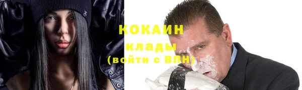 хмурый Бикин
