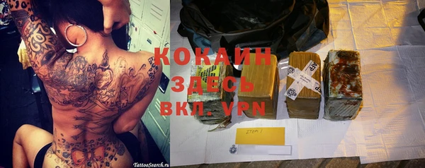 спиды Рославль