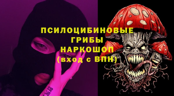 мдпв Беслан
