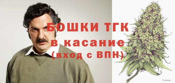 сатива Абаза