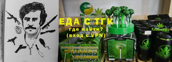 хмурый Бикин