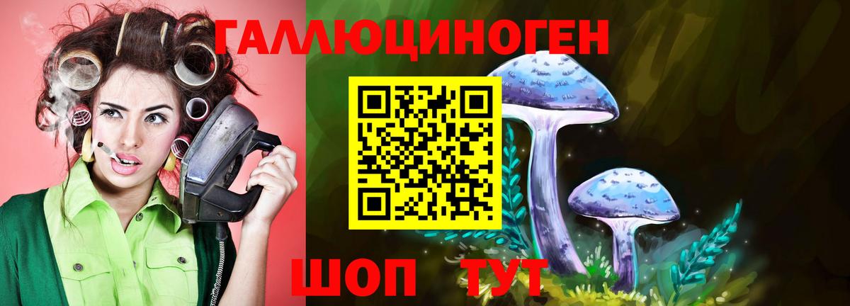 Галлюциногенные грибы GOLDEN TEACHER Знаменск